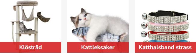 Kattkompaniet